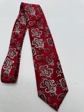 Steven Land Mens Paisley Silk Blend Red Necktie